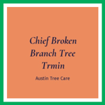 Chief Broken Branch Tree Trmin Logo