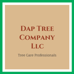 Dap Tree Company Llc Logo