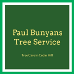 Paul Bunyans Tree Service Logo