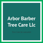 Arbor Barber Tree Care Llc Logo