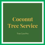 Coconut Tree Service Logo