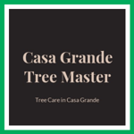 Casa Grande Tree Master Logo