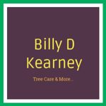 Billy D Kearney Logo