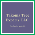 Takoma Tree Experts, LLC. Logo