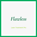 Flawless Logo