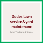 Dudes lawn service&amp;yard maintenanc Logo