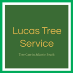 Lucas Tree Service Logo