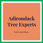 Adirondack Tree Experts Logo