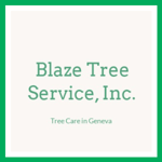 Blaze Tree Service, Inc. Logo