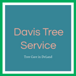 Davis Tree Service Logo