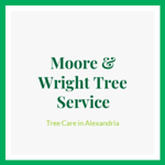 Moore &amp; Wright Tree Service Logo