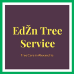 EdŽn Tree Service Logo