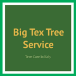 Big Tex Tree Service Logo