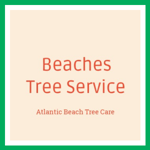 Beaches Tree Service Logo