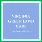 Virginia Green Lawn Care Logo