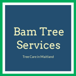 Bam Tree Services Logo