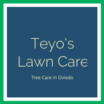 Teyo's Lawn Care Logo