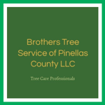 Brothers Tree Service of Pinellas County LLC Logo