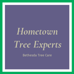 Hometown Tree Experts Logo