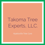 Takoma Tree Experts, LLC. Logo