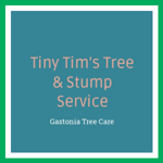 Tiny Tim&#039;s Tree &amp; Stump Service Logo