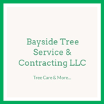 Bayside Tree Service &amp; Contracting LLC Logo