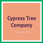 Cypress Tree Company Logo