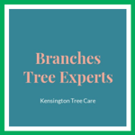 Branches Tree Experts Logo