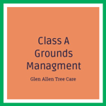 Class A Grounds Managment Logo