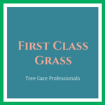 First Class Grass Logo