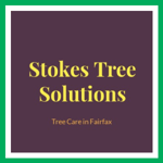 Stokes Tree Solutions Logo