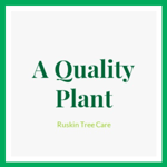 A Quality Plant Logo