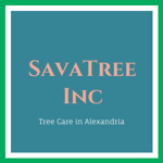 SavaTree Inc Logo
