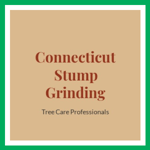 Connecticut Stump Grinding Logo