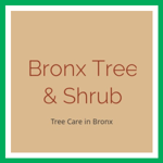 Bronx Tree & Shrub Logo