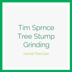 Tim Sprnce Tree Stump Grinding Logo