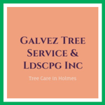 Galvez Tree Service & Ldscpg Inc Logo