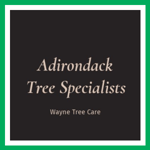 Adirondack Tree Specialists Logo
