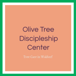 Olive Tree Discipleship Center Logo