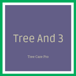 Tree And 3 Logo