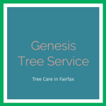 Genesis Tree Service Logo