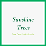 Sunshine Trees Logo