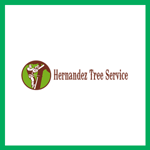 Armando Perez Hernandez Logo