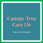Canopy Tree Care Llc Logo