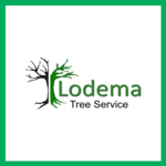 Steven J Lodema Logo