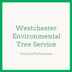 Westchester Environmental Tree Service Logo