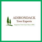 Tree Services Inc Logo