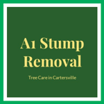 A1 Stump Removal Logo