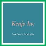 Kenjo Inc Logo