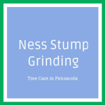 Ness Stump Grinding Logo